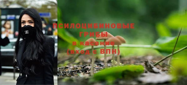 прущий лед Аркадак