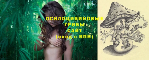 прущий лед Аркадак