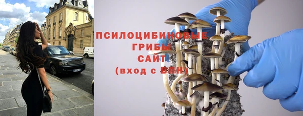 прущий лед Аркадак