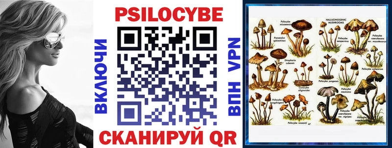 Галлюциногенные грибы Psilocybe  гидра зеркало  Северо-Курильск 